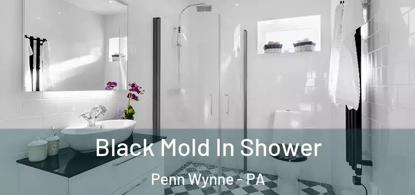 Black Mold In Shower Penn Wynne - PA