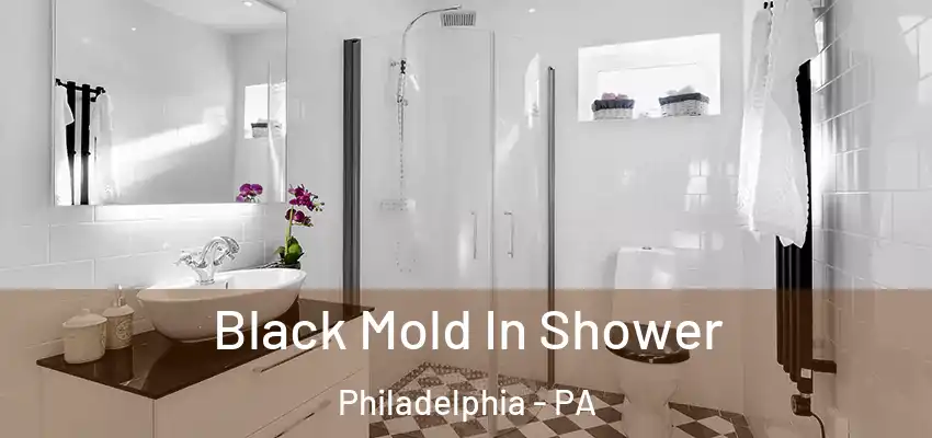 Black Mold In Shower Philadelphia - PA