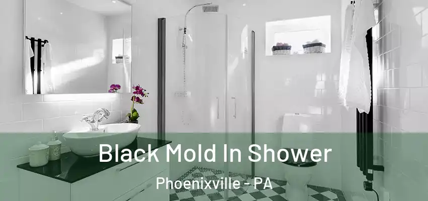 Black Mold In Shower Phoenixville - PA