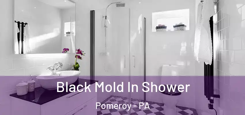 Black Mold In Shower Pomeroy - PA