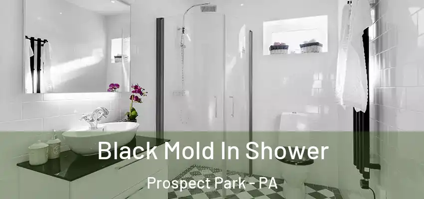  Black Mold In Shower Prospect Park - PA
