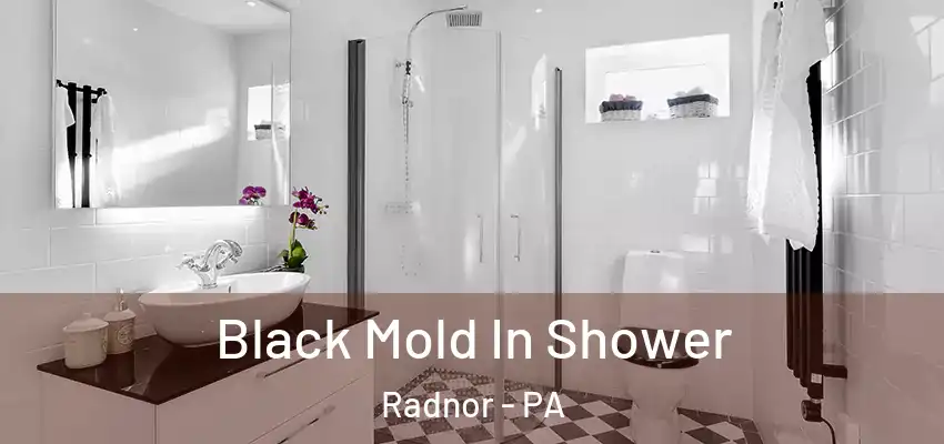  Black Mold In Shower Radnor - PA