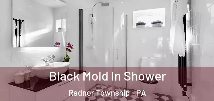 Black Mold In Shower Radnor Township - PA