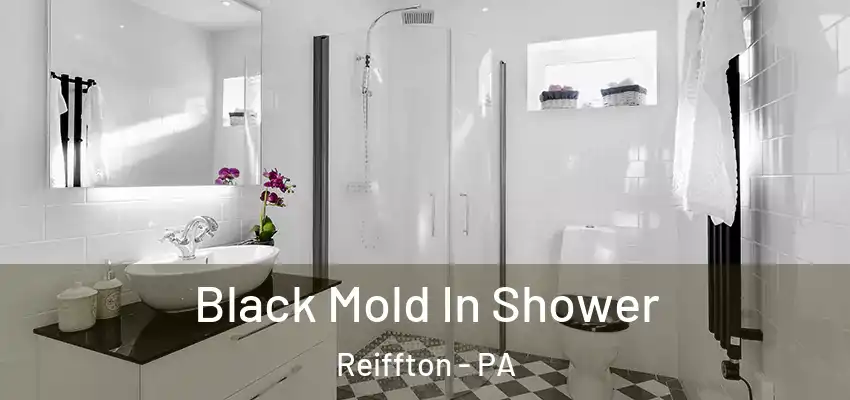 Black Mold In Shower Reiffton - PA