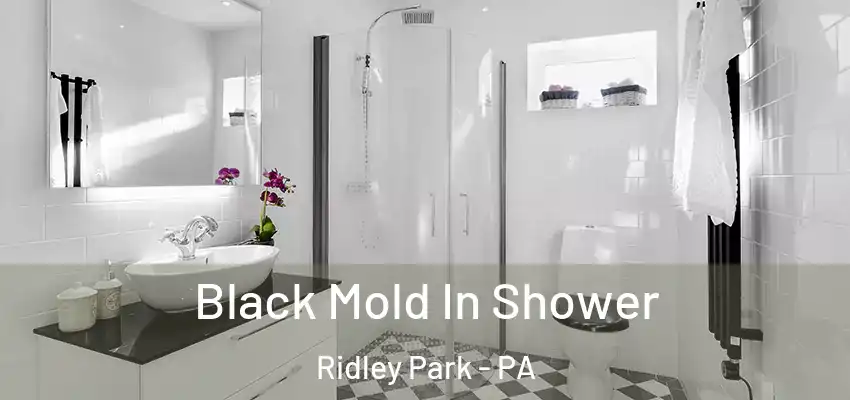 Black Mold In Shower Ridley Park - PA