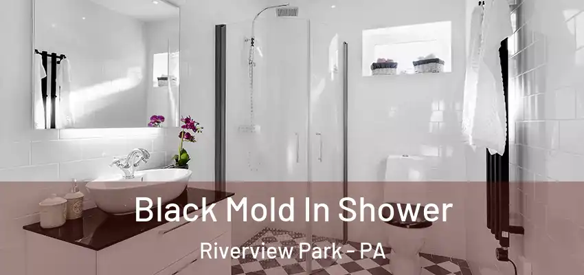  Black Mold In Shower Riverview Park - PA