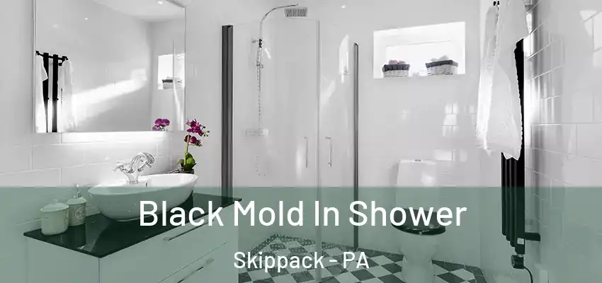  Black Mold In Shower Skippack - PA