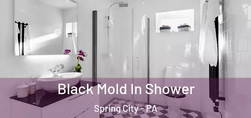  Black Mold In Shower Spring City - PA