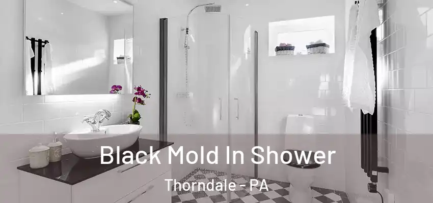  Black Mold In Shower Thorndale - PA
