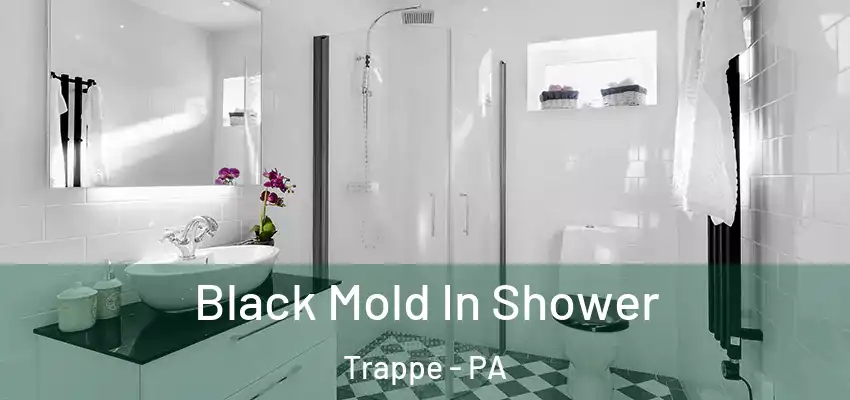  Black Mold In Shower Trappe - PA
