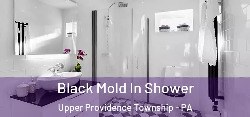Black Mold In Shower Upper Providence Township - PA