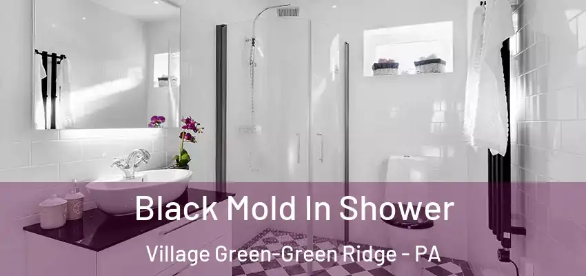 Black Mold In Shower Village Green-Green Ridge - PA