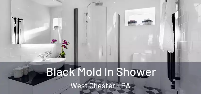 Black Mold In Shower West Chester - PA