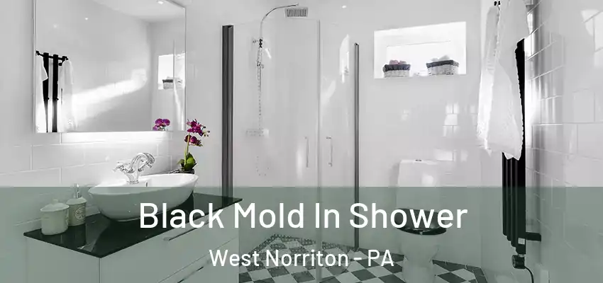 Black Mold In Shower West Norriton - PA