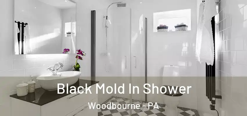 Black Mold In Shower Woodbourne - PA