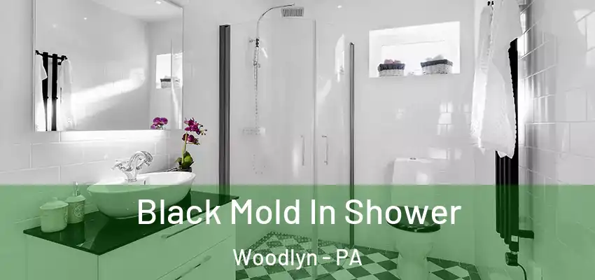 Black Mold In Shower Woodlyn - PA