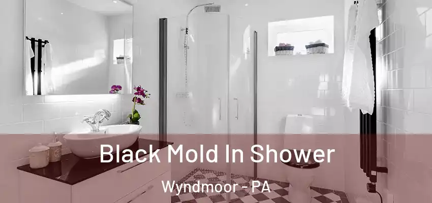 Black Mold In Shower Wyndmoor - PA