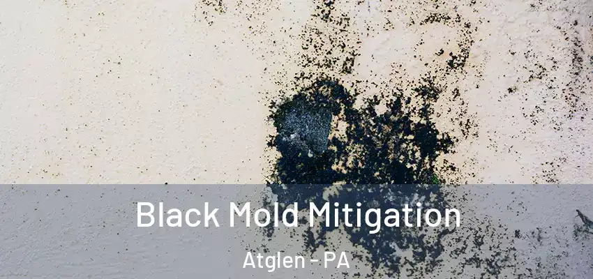 Black Mold Mitigation Atglen - PA