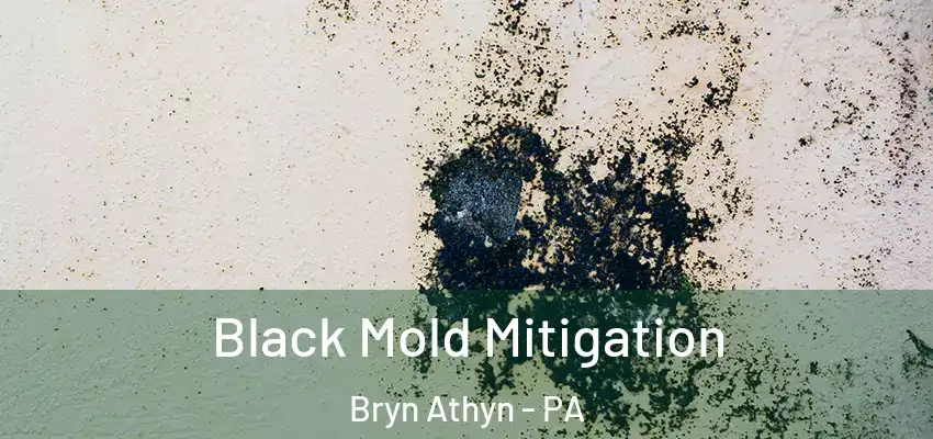 Black Mold Mitigation Bryn Athyn - PA