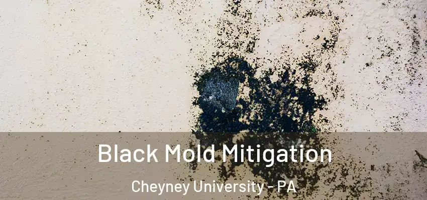  Black Mold Mitigation Cheyney University - PA