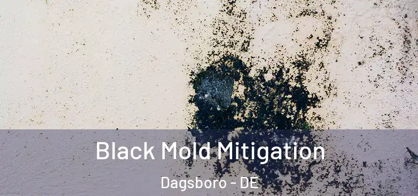 Black Mold Mitigation Dagsboro - DE