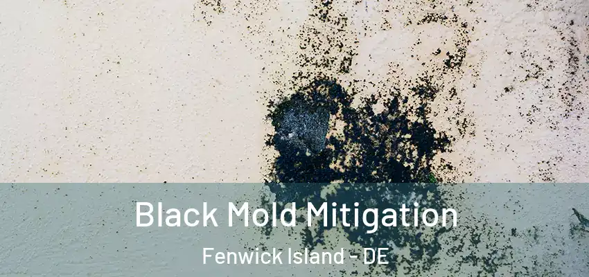 Black Mold Mitigation Fenwick Island - DE