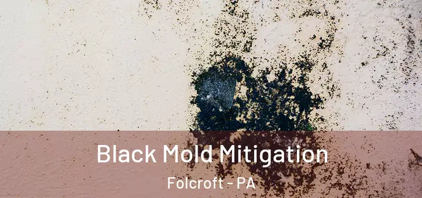 Black Mold Mitigation Folcroft - PA