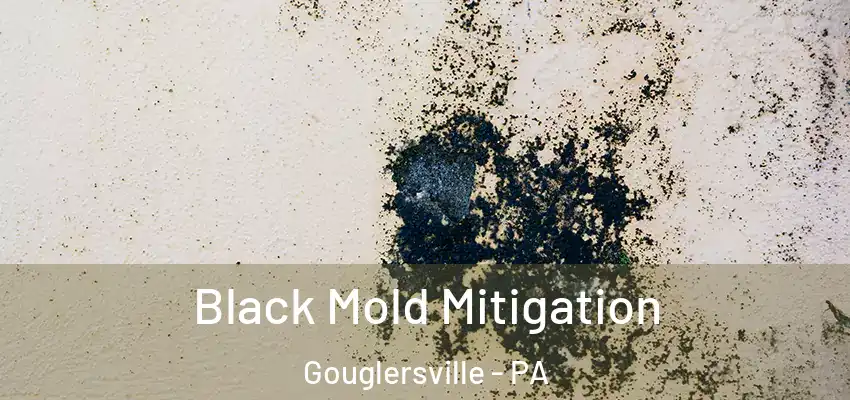 Black Mold Mitigation Gouglersville - PA
