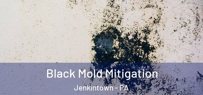 Black Mold Mitigation Jenkintown - PA