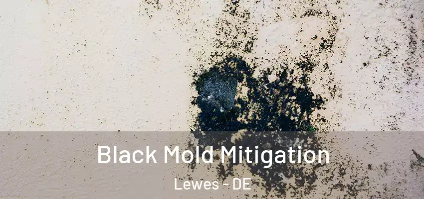  Black Mold Mitigation Lewes - DE