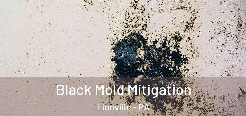 Black Mold Mitigation Lionville - PA