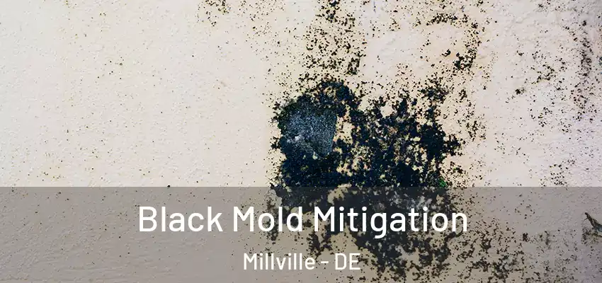 Black Mold Mitigation Millville - DE