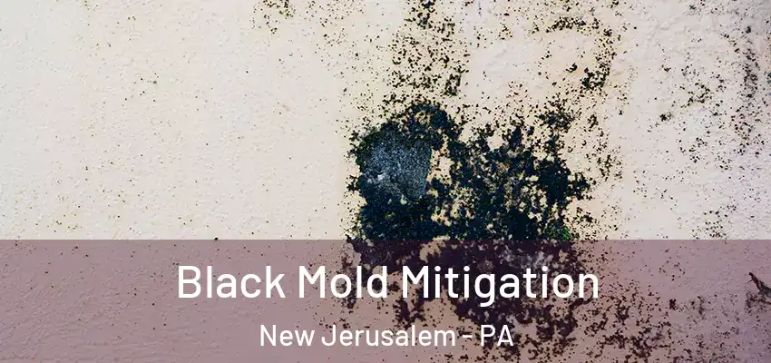 Black Mold Mitigation New Jerusalem - PA