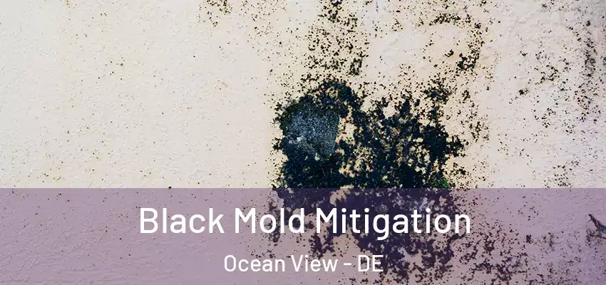  Black Mold Mitigation Ocean View - DE