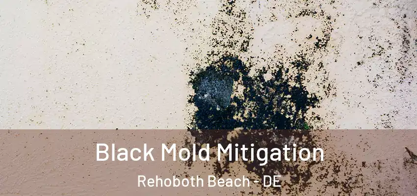  Black Mold Mitigation Rehoboth Beach - DE