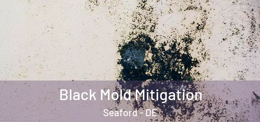  Black Mold Mitigation Seaford - DE