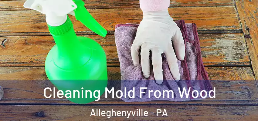 Cleaning Mold From Wood Alleghenyville - PA