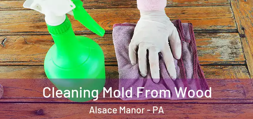 Cleaning Mold From Wood Alsace Manor - PA