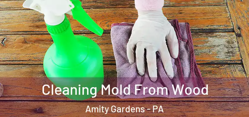  Cleaning Mold From Wood Amity Gardens - PA