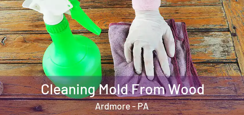  Cleaning Mold From Wood Ardmore - PA