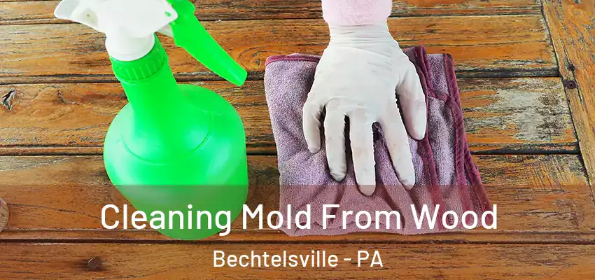  Cleaning Mold From Wood Bechtelsville - PA