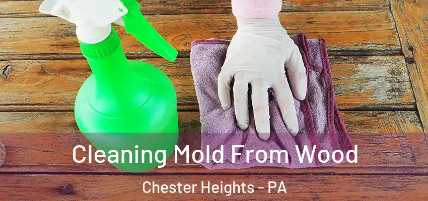  Cleaning Mold From Wood Chester Heights - PA