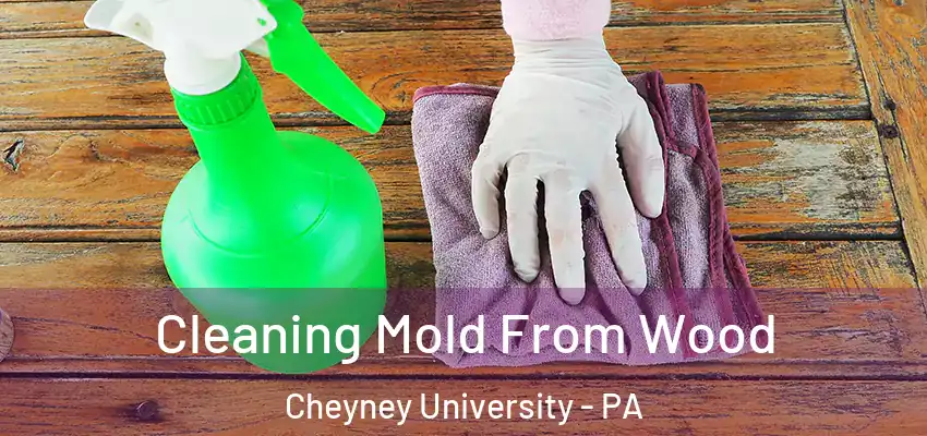  Cleaning Mold From Wood Cheyney University - PA