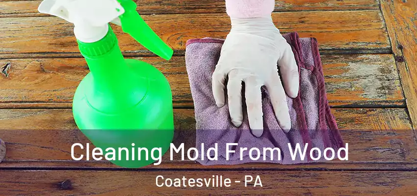 Cleaning Mold From Wood Coatesville - PA