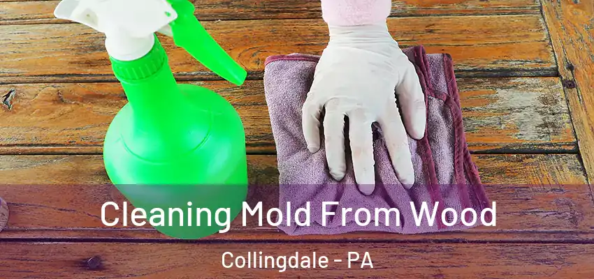 Cleaning Mold From Wood Collingdale - PA