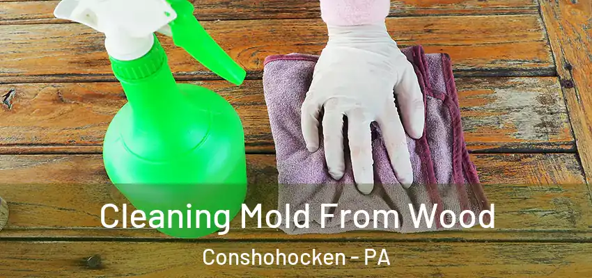 Cleaning Mold From Wood Conshohocken - PA