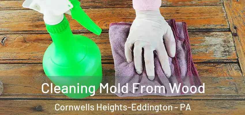  Cleaning Mold From Wood Cornwells Heights-Eddington - PA