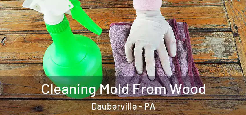 Cleaning Mold From Wood Dauberville - PA