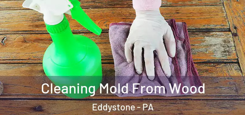  Cleaning Mold From Wood Eddystone - PA
