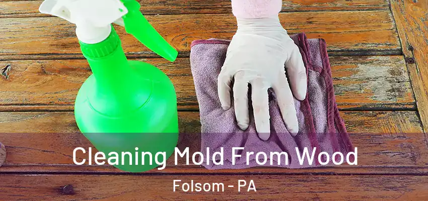  Cleaning Mold From Wood Folsom - PA